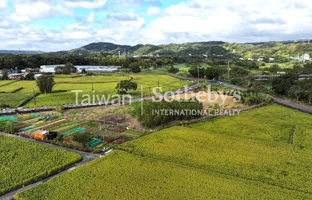 新埔黃金稻田超美農地1989坪現場實景